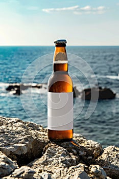 Serene Beachside With Single Beer Bottle on Rocky Shore