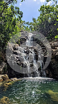 The serene beauty of a cascading waterfall in a dense jungle setting, where nature's music and lush foliage create a