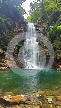 The serene beauty of a cascading waterfall in a dense jungle setting, where nature's music and lush foliage create a