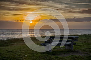 Serene bench offers a solitary spot to contemplate the sea