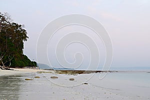Serene, Calm and Peaceful Pristine Beach with Clear Sky - Kalapathar beach, Havelock Island, Andaman Nicobar Islands, India