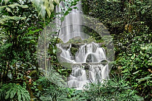 Serene cascade at Jurong bird park