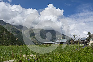 Serene Citkul Village ona sunnydayin Himachal Pradesh,India