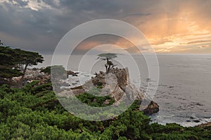 Serene Coastal Scene Along 17 Mile Drive, California