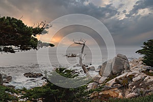 Serene Coastal Scene Along 17 Mile Drive, California