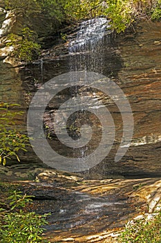 Serene Falls in a Shaded Forest Glen