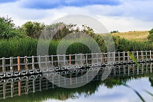 Serene floating boardwalk against reeds, hills and a blue sky