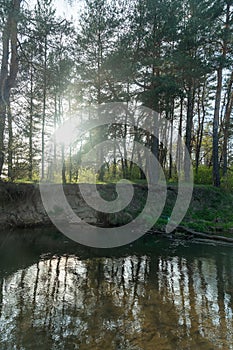 A serene forest river flows gently through a lush landscape, illuminated by the warm glow of a spring evening sun. This tranquil