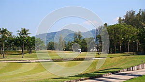 Serene golf course landscape with golfer
