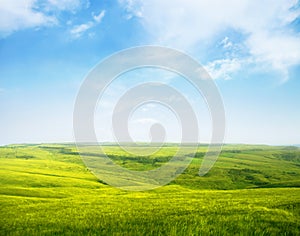 Serene hilly meadow