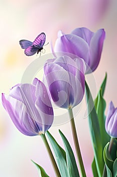A serene image capturing the beauty of three purple tulips with a delicate butterfly in flight, against a soft