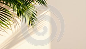 Palm Leaf Shadow on Beige Wall Minimalist Summer Background