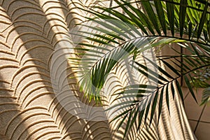 Palm Leaves Casting Shadows on Woven Fabric photo