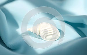 Single White Seashell on Blue Cloth