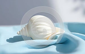 Single White Seashell on Blue Cloth