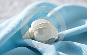 Single White Seashell on Blue Cloth