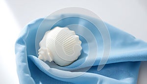 Single White Seashell on Blue Cloth