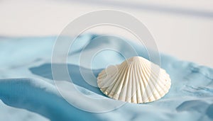 Single White Seashell on Blue Cloth