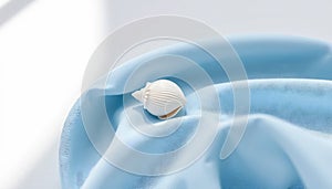 Single White Seashell on Blue Cloth