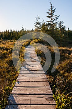 A Serene Journey Through the Cape Alava Trail photo