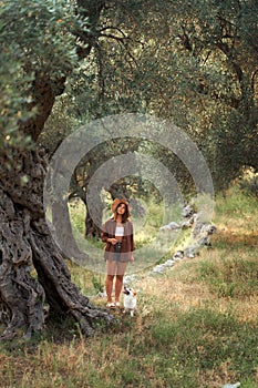 A serene lady in a hat with her loyal Corgi, both enjoying a serene walk through an olive grove