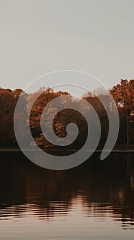 A serene lake a forest in autumn dark evening image generative AI