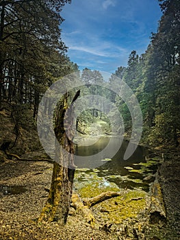 Chattrakund Auli lake photo