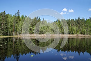 Serene Lake Scenery in Finland