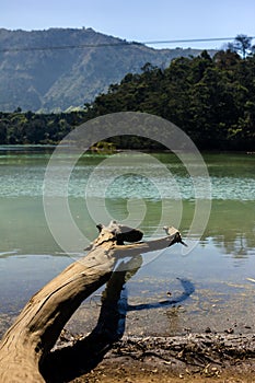 The serene lake - Telaga Warna Lake