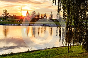 A serene lake with a tree in front of it