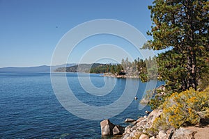 Serene lakeside scene with clear blue sky, rocky shoreline, pine tree, and distant mountains.