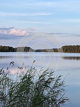Tranquil lake scene in Moletai district, Lithuania, during golden hour. photo