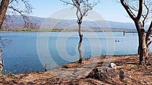 Serene landscape, photo of lake with mountains and a small central tree