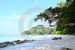 Serene Landscape with Stony Beach, Trees, Sky and Water - Neil`s Cove, Radhanagar Beach, Havelock Island, Andaman Nicobar, India