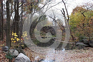 Serene, leaf-covered stream runs through central park, Mahattan