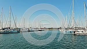 Serene Marina with Moored Sailboats, Sailboats docked at a calm marina under a clear sky.