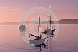 Serene Marina Morning