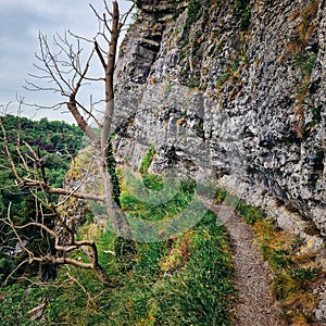 Serene Matlock: High Tor\'s Majestic Presence