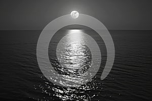 Serene Moonlight Reflection Over Calm Sea, Nighttime Tranquility