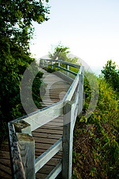 Serene Morning on Michigan Boardwalk Amidst Lush Greenery