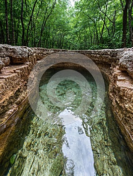 Serene natural pool in lush forest