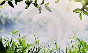 Serene nature background with green foliage