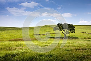 Serene nature landscape of the midwest Kansas Tall photo