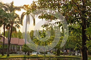 Serene park in city center during sunrise time