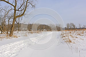 Serene path in the Winter