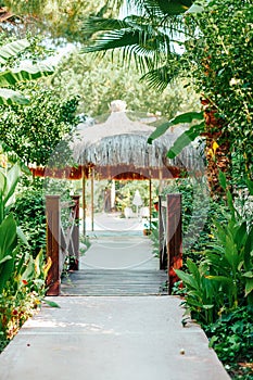 A serene pathway leading to a thatched gazebo, enveloped by lush greenery and tropical plants, offering a tranquil and natural