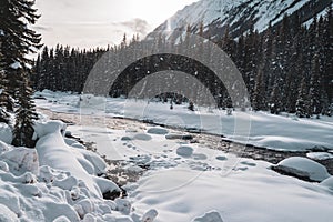 Serene, peaceful morning light winter scene along the Kootenay River in Kootenay National Park British Columbia Canada