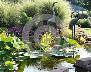 Serene Pond Garden