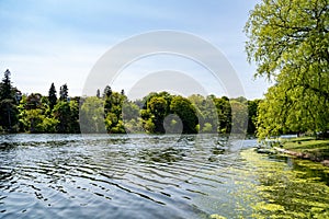 Serene Pond View Within High Park Toronto Grounds