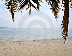 Serene and Pristine Sandy Beach with Tranquil Sea Water with Palm Leaves in Foreground - Natural Background photo
